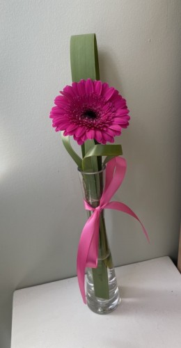 Single flower in Glass Bud vase