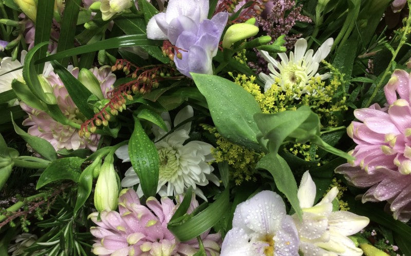 Beautiful Seasonal Pastels