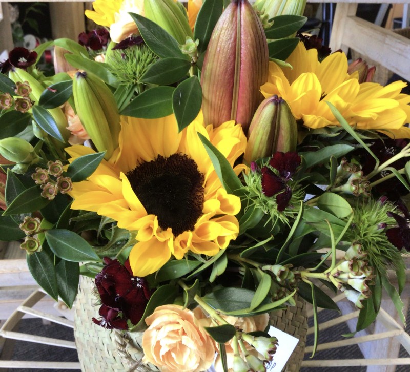 Roslyn Flowers Dunedin Best Flower Site