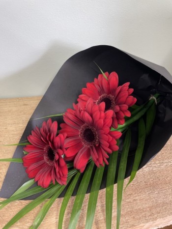 Red Gerberas